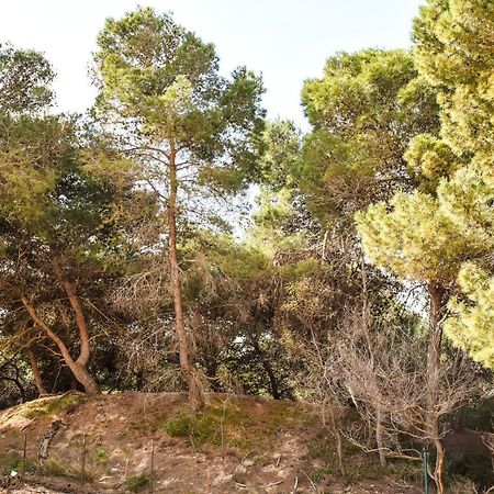 Appartamento Sulla Spiaggia غالّيبولي المظهر الخارجي الصورة