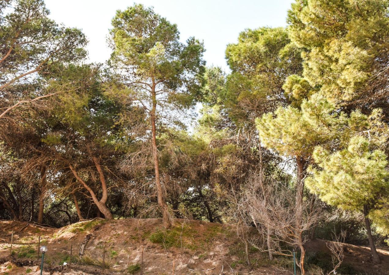 Appartamento Sulla Spiaggia غالّيبولي المظهر الخارجي الصورة